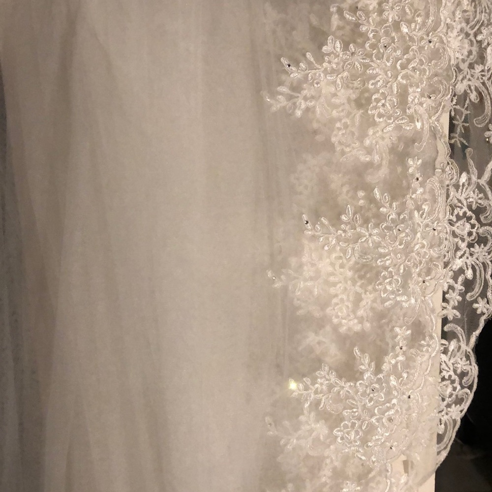 Cathedral length veil never worn